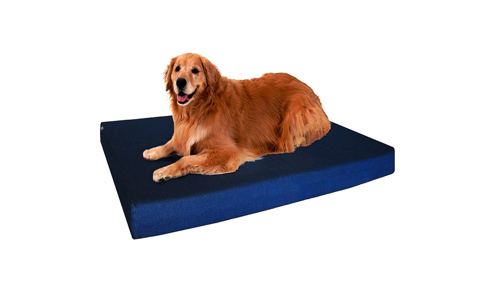 dog bed dogbed4 less