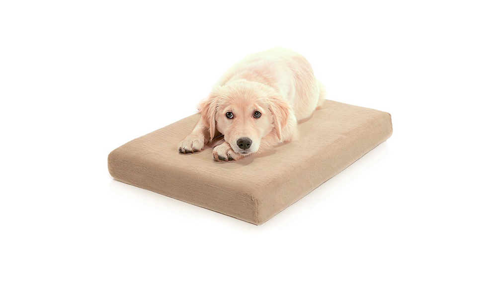 dog bed milliard