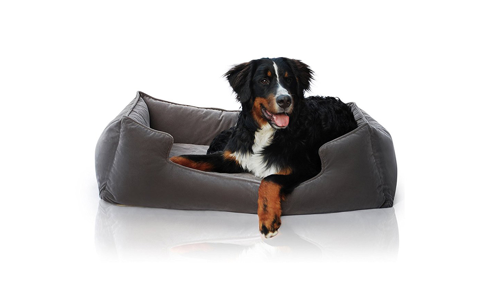 dog bed petsbao