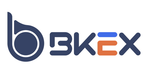 BKEX logo
