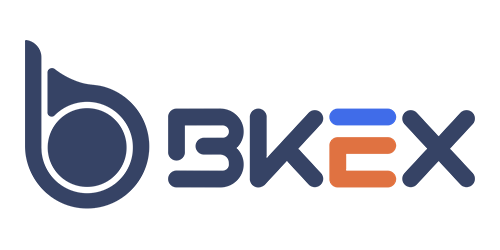 BKEX logo